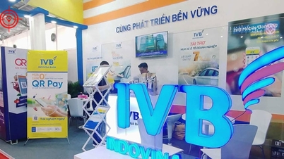 Tras una inspección realizada en la sucursal de Indovina Bank en Hoi An: se descubrieron riesgos debido a la concentración de préstamos a un pequeño grupo de clientes.