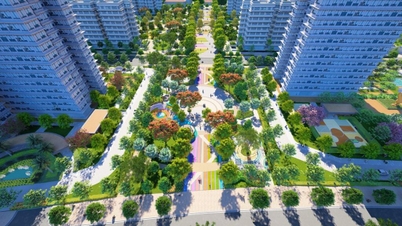 Include social housing projects in the 'green channel' for administrative procedures.