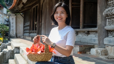 Turyści odwiedzający Hanoi w marcu są oczarowani żywą czerwienią kwiatów kapoku.