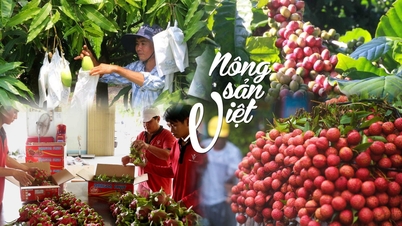 Vergroot de naamsbekendheid van Vietnamese landbouwproducten.