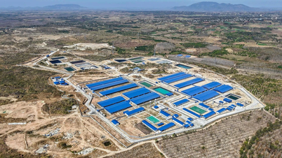 DHN Gia Lai starts operations 10 months early, expanding its modern livestock farming chain.