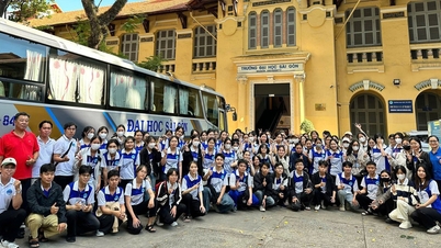 Saigon University ökar antagningskvoterna, studieavgifterna når över 212 miljoner VND per kurs.