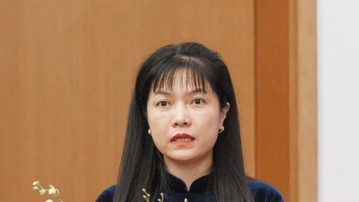 国家選挙管理委員会は50件の苦情、告発、報告を受け取った。