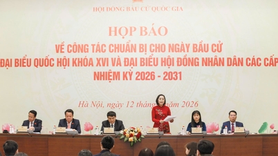 The identities of the 5 self-nominated candidates for the 16th National Assembly have been revealed.