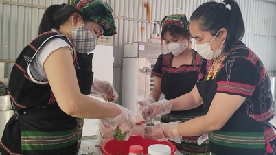 Da Nang vyvíjí novou politiku podpory průmyslu se zaměřením na podporu horských oblastí.