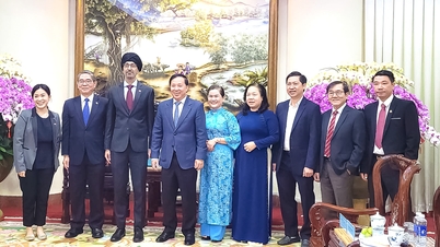 Chairman of the People's Committee of Dong Nai province, Nguyen Van Ut, receives the Ambassador Extraordinary and Plenipotentiary of Singapore to Vietnam.