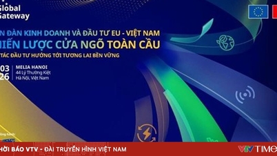 EU-ویتنام بزنس اینڈ انویسٹمنٹ فورم ایک پائیدار مستقبل کے لیے تعاون کو فروغ دیتا ہے۔