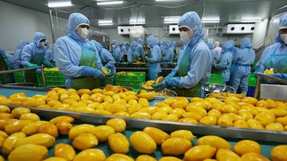 В условиях открытого рынка органическая сельскохозяйственная продукция стремится занять свою нишу.