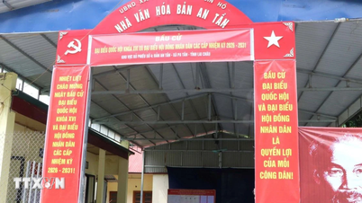 National Assembly and People's Council elections: Every vote contributes to selecting outstanding representatives.