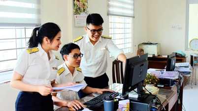 Gia Lai: Hotlines of 11 local tax offices made public.