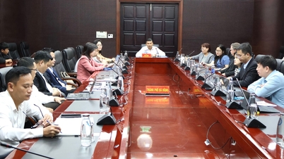 Da Nang menyemak semula rancangan untuk menganjurkan Minggu Ekonomi, Kewangan dan Teknologi 2026.