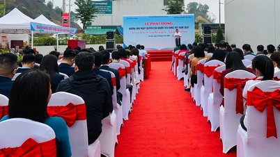 Lao Cai lanza una campaña para celebrar el "Día de los Derechos del Consumidor de Vietnam" en 2026.