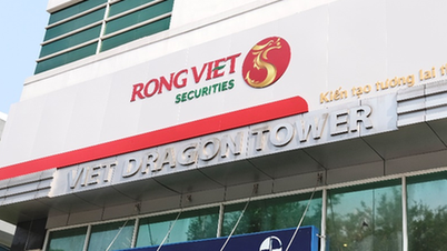 Компания KIDO Food приобрела 5 миллионов акций на падении цен в Rong Viet Securities во время рекордного спада.