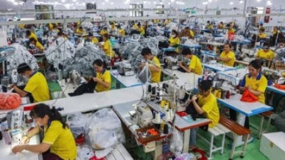 Las fluctuaciones logísticas plantean riesgos para las empresas exportadoras.