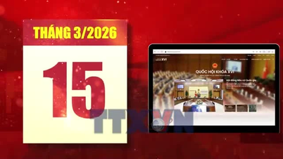 هانوی: اشکال متنوع گسترش دموکراسی در انتخابات.