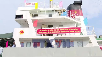 Siły zbrojne i rybacy na południowym szelfie kontynentalnym zakończyli głosowanie wstępne.