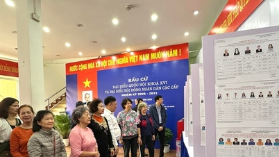 Van Mieu - Quoc Tu Giam Ward: Gruntowne przygotowania do święta narodowego.