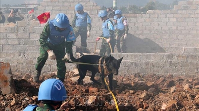 Vietnam első békefenntartó kiképző tanfolyama megfelel a nemzetközi szabványoknak.