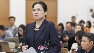 5 người tự ứng cử đại biểu Quốc hội khóa XVI là ai?