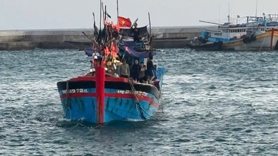 Two fishing vessels that encountered problems at sea were rescued in time and brought back to Phu Quy Island.