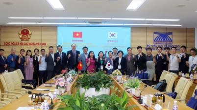 Cuu Long University has cooperative relationships with partners in South Korea.