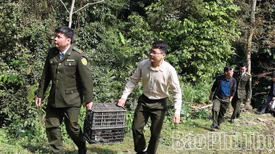 Melepaskan kembali hewan-hewan langka dan terancam punah ke alam liar.