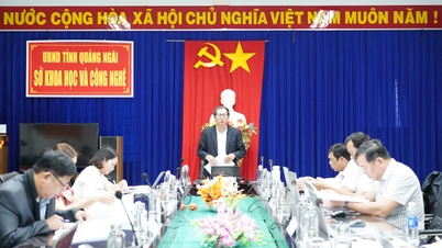 Réunion du Conseil consultatif pour la sélection des organisations et des individus chargés de diriger le projet de recherche sur la mise en place d'un modèle économique agricole circulaire dans la province de Quang Ngai.