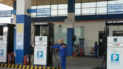 Quels défis le marché pétrolier vietnamien doit-il relever face aux fluctuations mondiales ?