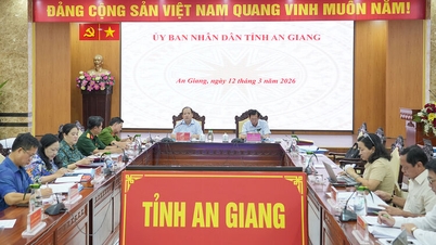 គណៈកម្មាធិការប្រជាជនខេត្តអានយ៉ាងបានអនុម័តគម្រោងជាក់លាក់ដើម្បីធ្វើឱ្យកម្មវិធីសកម្មភាពនេះក្លាយជាជាក់ស្តែង។