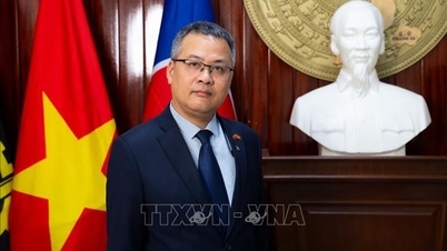 이는 정치적 안정의 신호이며, 베트남의 의회 외교를 한 단계 끌어올리는 것이다.
