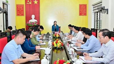 A chefe da Delegação Provincial da Assembleia Nacional, Ly Thi Lan, inspecionou os preparativos para as eleições na comuna de Thai Binh e no distrito de Nong Tien.