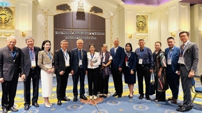 В'єтнам розвиває співпрацю з Таїландом у сфері туризму.
