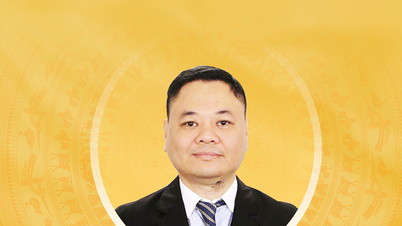 Kort biografi och handlingsplan för kandidaten till den 16:e nationalförsamlingen i Bac Ninh-provinsen, Nguyen Ngoc Bao
