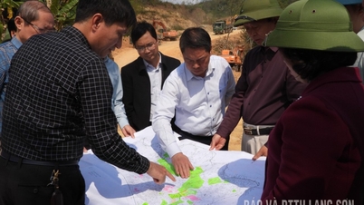 Los líderes del Comité Popular Provincial inspeccionan el progreso del proyecto del complejo deportivo provincial.