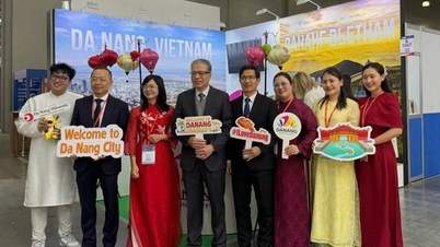 Des représentants officiels de Da Nang se rendent en Russie pour la première fois afin de promouvoir la destination.