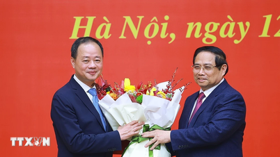 A Vietnami Tudományos és Technológiai Akadémia elnökének kinevezéséről szóló határozat ismertetése.