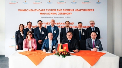 Siemens Healthineers اور Vinmec ویتنام میں ہیلتھ کیئر ٹیکنالوجی کی جدت کو فروغ دینے کے لیے تعاون کرتے ہیں۔