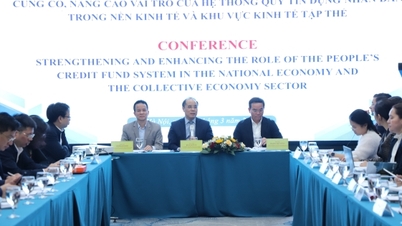 Promoting the role of People's Credit Funds in the collective economy.