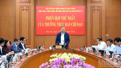 The development of science and technology must be strongly oriented towards solving practical problems.