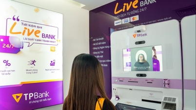 Az SBI Group és Vietnam: A pénzügyi ökoszisztéma elmélyítése, a mesterséges intelligencia együttműködésének bővítése.