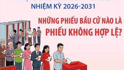 National Assembly and People's Council elections: Which ballots are invalid?
