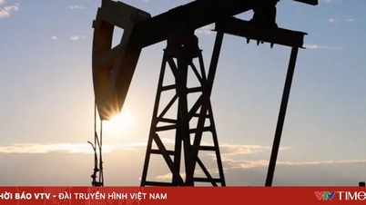 Țările economisesc combustibil și își reduc cheltuielile.