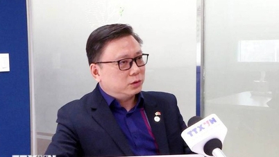 Overseas Vietnamese place their full trust in the new Vietnamese National Assembly.