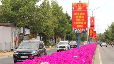 La carretera bordeada de buganvillas de color púrpura vibrante en las antiguas tierras altas de Ninh Thuan cautiva a los turistas.