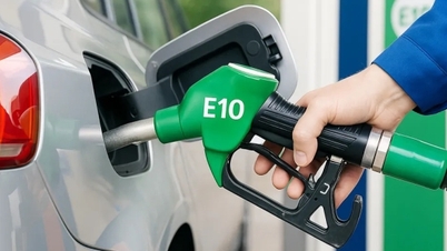 Promoting biofuels: Opening up opportunities for the ethanol industry.