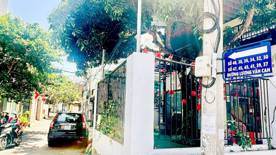 বাড়ির নম্বরের "ম্যাট্রিক্স" দূর করার জন্য প্রযুক্তি প্রয়োগ করা।
