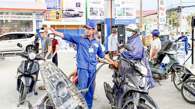 Garantir o abastecimento suficiente de gasolina, diesel e GLP.