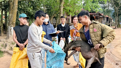 Thuong Trach Commune: Reducing information poverty, improving people's lives.