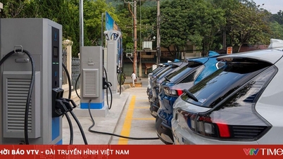 Elektrikli araç teşvikleri: Dünya milyarlarca dolar harcamak için yarışıyor; Vietnam hangi "etkiyi" kullanacak?