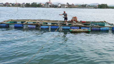 Developing cage fish farming on the Gianh River